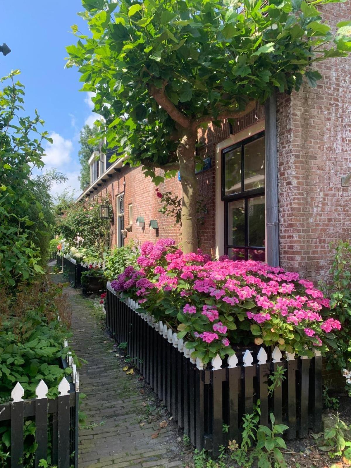 Апартаменты "Het Steechje" In Ie Bij Schiermonnikoog En Ameland Эе Экстерьер фото
